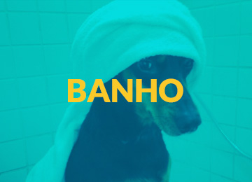 Banho Campinas