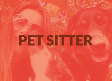 Petsitter Campinas